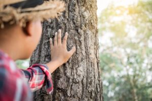 Calculadora de Carbono Pessoal: Descubra e Compense Suas Emissões